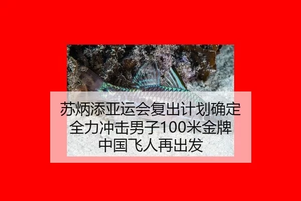 su-bing-tian-ya-yun-hui-fu-chu-ji-hua-que-ding-quan-li-chong-ji-nan-zi-mi-jin-pai-zhong-guo-fei-ren-zai-chu-fa-2-521.jpg